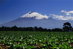 cotopaxi.gif