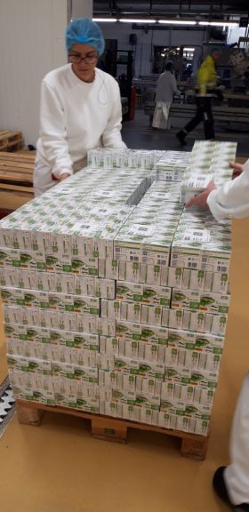 Zwei Personen in weißen Uniformen und Haarnetzen stapeln FRoSTA-Tiefkühlprodukte auf Paletten in einer Fabrikumgebung. Andere sind im Hintergrund sichtbar.