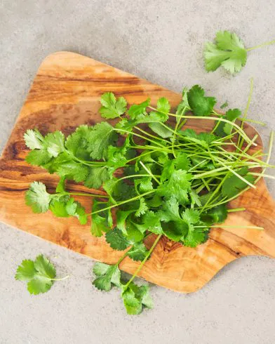 Frischer Koriander liegt auf einem Holzbrett; Dann sind FRoSTA Tiefkühlprodukte auf einer hellgrauen Arbeitsplatte zu sehen.