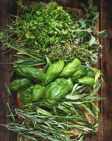 Auf rustikalem Holz liegen frische Kräuter wie Petersilie, Oregano, Thymian, Basilikum und FRoSTA Tiefkühlprodukte ordentlich sortiert.