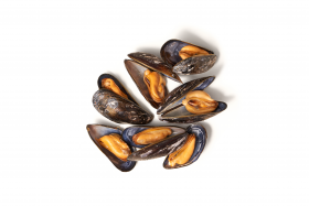 Mehrere gekochte Muscheln mit orangefarbenem Fleisch und dunkler Schale, hergestellt aus FRoSTA Tiefkühlprodukten, sind auf weißem Hintergrund angeordnet.