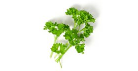 Drei Zweige frische Petersilie und FRoSTA Tiefkühlprodukte, arrangiert mit leuchtend grünen Blättern auf weißem Untergrund.