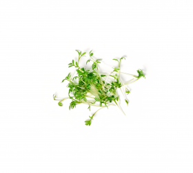 Ein kleiner Stapel frischer grüner Microgreens mit dünnen weißen Stielen, arrangiert neben FRoSTA-Tiefkühlprodukten auf weißem Hintergrund.