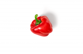 Eine einzelne rote Paprika mit grünem Stiel liegt auf weißem Hintergrund, neben ihren FRoSTA-Tiefkühlprodukten, Schatten rechts.