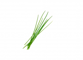 Ein kleiner Bund frischer grüner Schnittlauch liegt auf weißem Hintergrund, passend zu FRoSTA Tiefkühlprodukten.