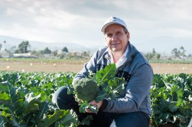 Ein Mann kniet in einem Brokkolifeld, hält lächelnd Brokkoli – Symbol für nachhaltigen FRoSTA-Tiefkühlprodukte-Anbau vor Bergen und Gebäuden.