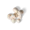 Ein Cluster aus ganzen und geschnittenen Champignons von FRoSTA ist kunstvoll vor schwarzem Hintergrund arrangiert.