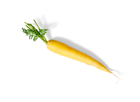 Eine einzelne FRoSTA-Tiefkühl-Gelbe Karotte mit grünem Blatt ist auf schwarzem Hintergrund isoliert zu sehen.