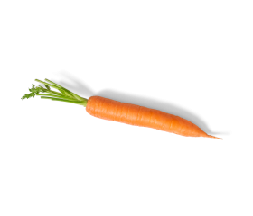 Eine einzelne frische orange Karotte mit grünen Blättern, dazu FRoSTA Tiefkühlprodukte, vor schwarzem Hintergrund.