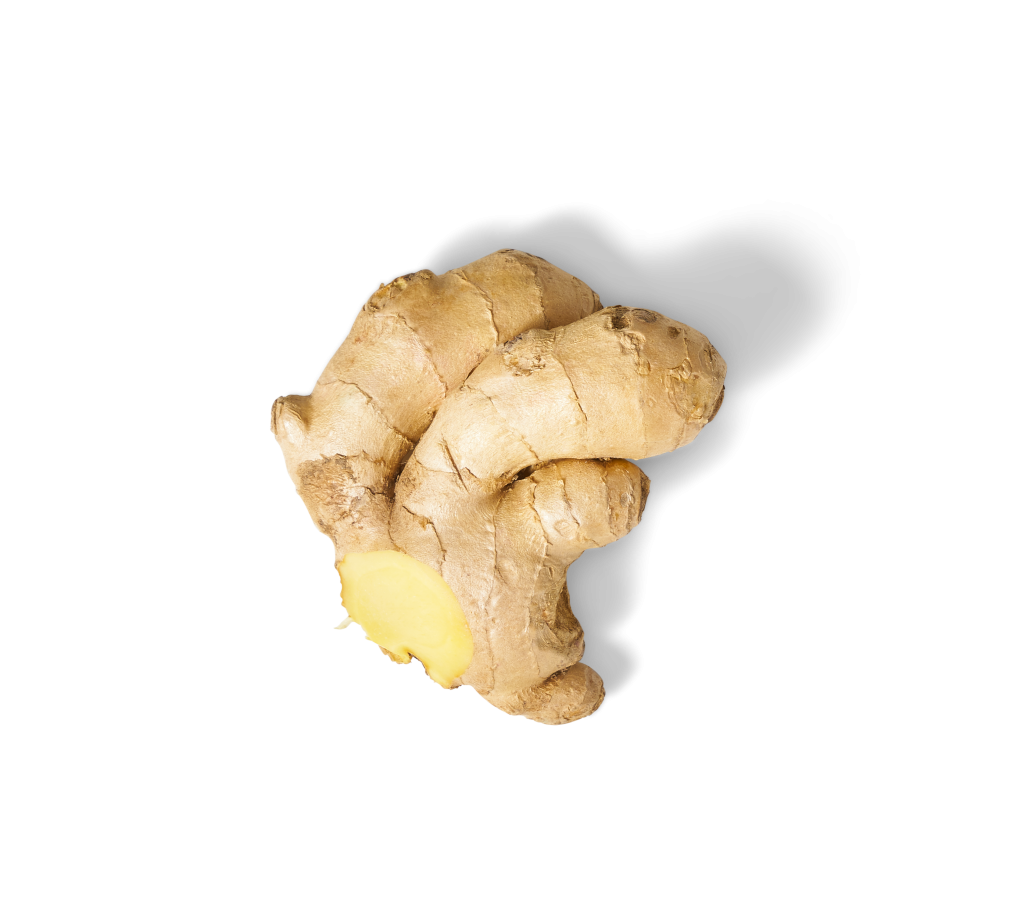 Ingwer ‒ die gesunde Wunderknolle FRoSTA
