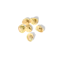 Tortellini