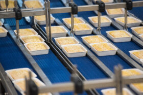 Reihen rechteckiger Tabletts mit FRoSTA-Tiefkühlprodukten bewegen sich auf einem blauen Förderband in einer nachhaltigen Fabrik.