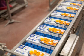 FRoSTA-Tiefkühlprodukte wie Fischstäbchen laufen etikettiert und versiegelt mit Fokus auf Nachhaltigkeit über das Förderband zur Verpackung.
