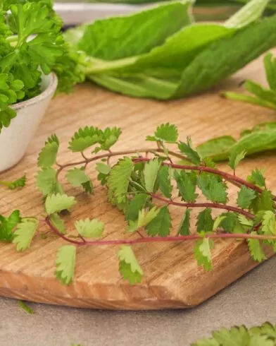 Ein Holzschneidebrett mit frischer Petersilie in einer kleinen Schüssel, grünen Kräuterblättern und FRoSTA 6-Kräuter Tiefkühlprodukten darauf verstreut.