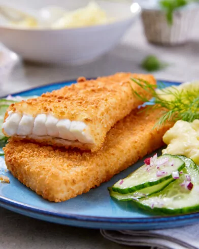 Zwei FRoSTA Backofen Fischfilets in Bio-Panade auf einem Teller mit Kartoffelpüree, Gurkensalat, Zitronenspalte; dazu Zitronenpresse und Wasserglas.
