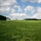 Ein weites grünes Feld unter einem blauen Himmel mit Wolken. Die Szene spiegelt die Nachhaltigkeit von FRoSTA-Tiefkühlprodukten in natürlicher Harmonie wider.