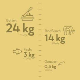 Infografik: CO2e-Fußabdruck pro kg – Butter 24 kg, Rindfleisch 14 kg, Fisch 3 kg, FRoSTA Tiefkühlprodukte (Gemüse) 0,3 kg. Icons auf gelbem Grund.