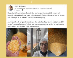 Felix Ahlers zeigt auf LinkedIn, wie FRoSTA Karotten und Kohl erntet und einfriert, um Lebensmittelverschwendung zu vermeiden.
