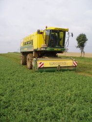 Erbsenernte mit Felddrescher